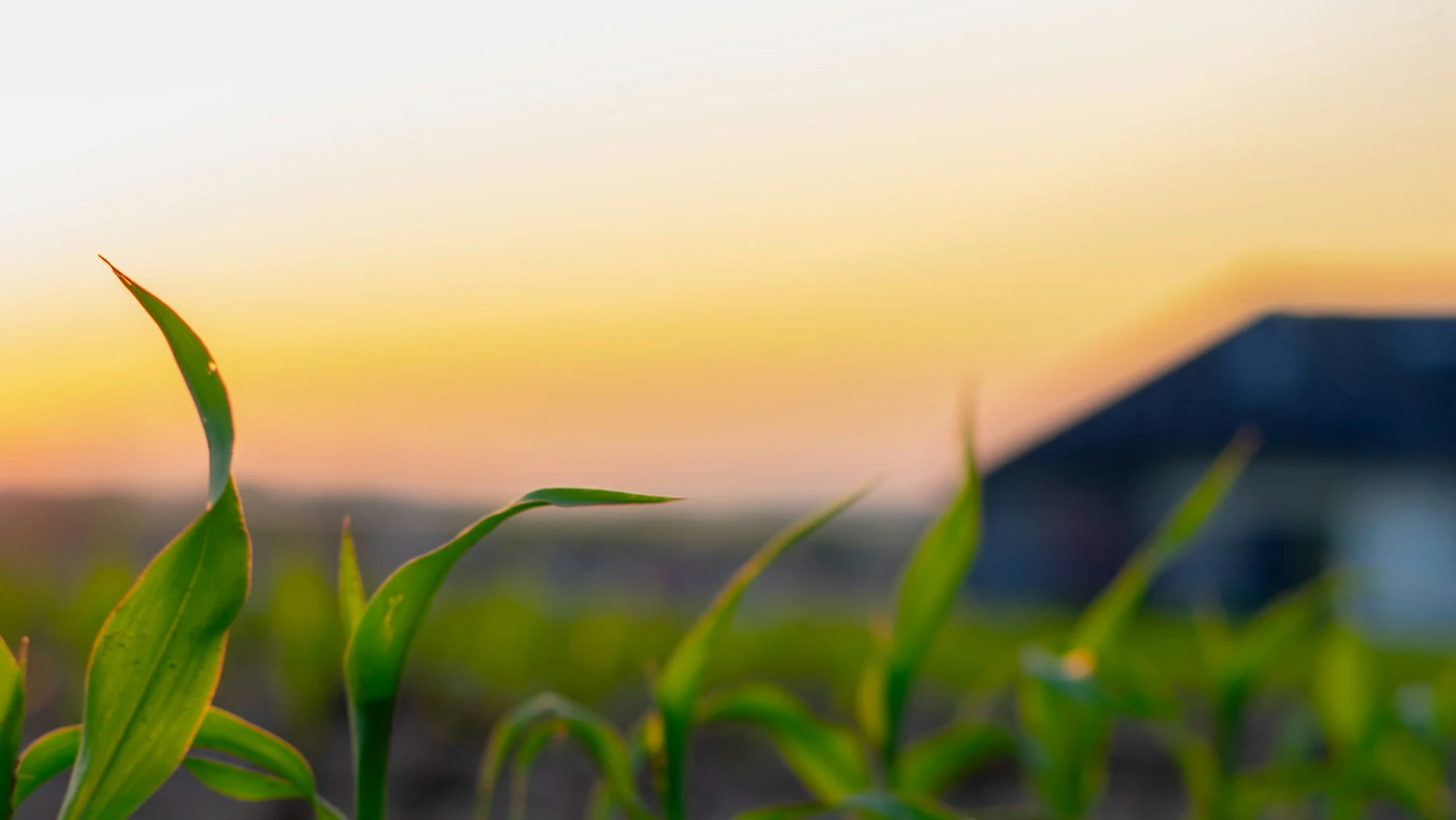 Shifting Crop Hardiness Zones