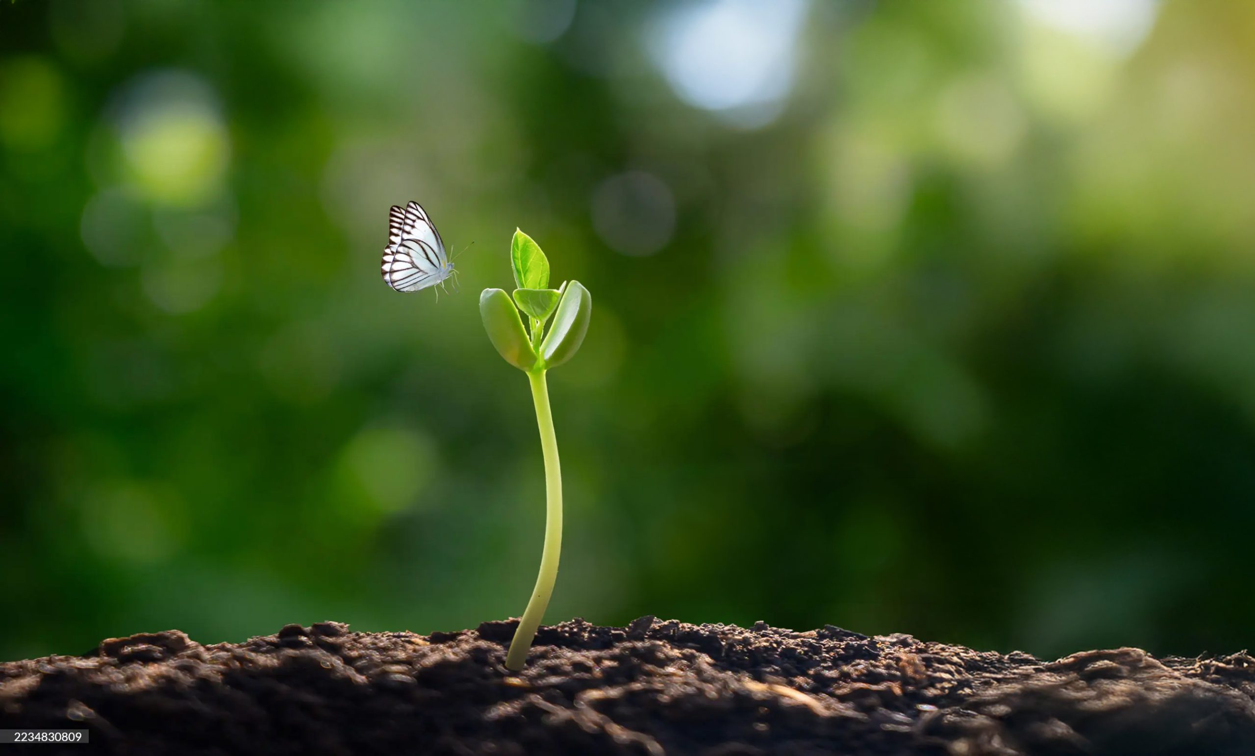 Bridging science, business, and storytelling for a thriving planet.