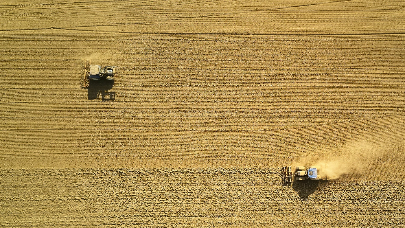 Rice SALM within OpenAg