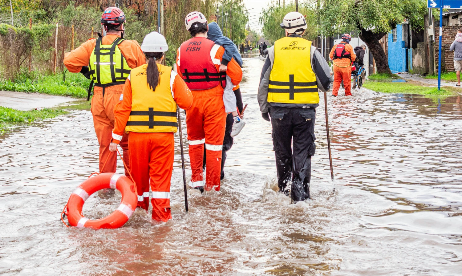 Digital Impact for Species