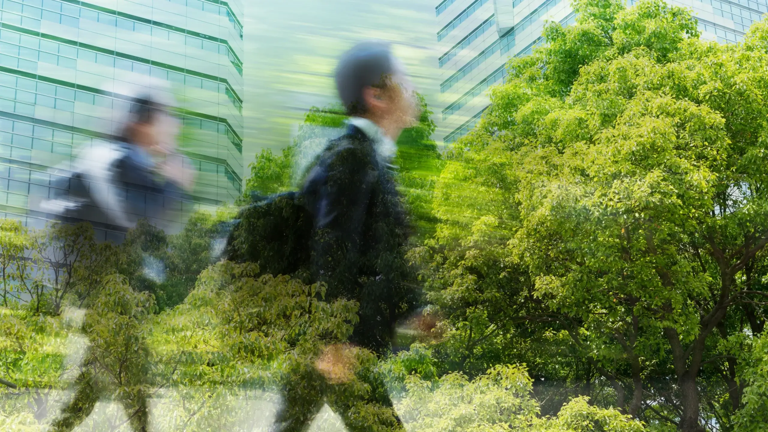 Campaign Communications Delivery